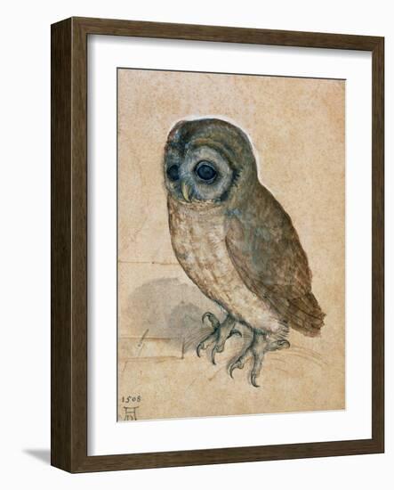 Sreech-Owl, 1508-Albrecht Dürer-Framed Premium Giclee Print