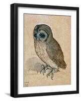 Sreech-Owl, 1508-Albrecht Dürer-Framed Premium Giclee Print