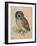 Sreech-Owl, 1508-Albrecht Dürer-Framed Premium Giclee Print