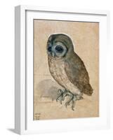 Sreech-Owl, 1508-Albrecht Dürer-Framed Premium Giclee Print