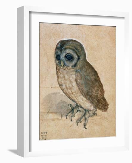 Sreech-Owl, 1508-Albrecht Dürer-Framed Premium Giclee Print