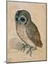 Sreech-Owl, 1508-Albrecht Dürer-Mounted Premium Giclee Print