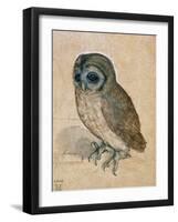 Sreech-Owl, 1508-Albrecht Dürer-Framed Giclee Print