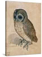 Sreech-Owl, 1508-Albrecht Dürer-Stretched Canvas