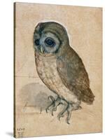 Sreech-Owl, 1508-Albrecht Dürer-Stretched Canvas