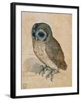 Sreech-Owl, 1508-Albrecht Dürer-Framed Giclee Print