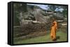 Sri Lanka, Ancient City of Polonnaruwa, Reclining Buddha Statue and Praying Monk-null-Framed Stretched Canvas