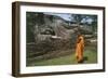 Sri Lanka, Ancient City of Polonnaruwa, Reclining Buddha Statue and Praying Monk-null-Framed Giclee Print