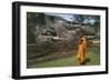 Sri Lanka, Ancient City of Polonnaruwa, Reclining Buddha Statue and Praying Monk-null-Framed Giclee Print