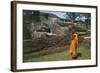 Sri Lanka, Ancient City of Polonnaruwa, Reclining Buddha Statue and Praying Monk-null-Framed Giclee Print