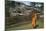 Sri Lanka, Ancient City of Polonnaruwa, Reclining Buddha Statue and Praying Monk-null-Mounted Giclee Print