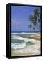 Sri Lanka Beach and Palm Trees-Jon Hicks-Framed Stretched Canvas