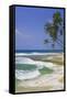 Sri Lanka Beach and Palm Trees-Jon Hicks-Framed Stretched Canvas