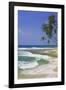 Sri Lanka Beach and Palm Trees-Jon Hicks-Framed Photographic Print