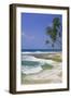 Sri Lanka Beach and Palm Trees-Jon Hicks-Framed Photographic Print