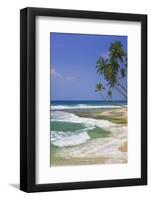 Sri Lanka Beach and Palm Trees-Jon Hicks-Framed Photographic Print