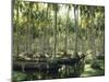 Sri Lanka, Coconut Palm Plantation-Thonig-Mounted Photographic Print