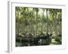 Sri Lanka, Coconut Palm Plantation-Thonig-Framed Photographic Print