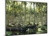 Sri Lanka, Coconut Palm Plantation-Thonig-Mounted Photographic Print