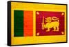 Sri Lanka Flag Design with Wood Patterning - Flags of the World Series-Philippe Hugonnard-Framed Stretched Canvas