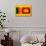 Sri Lanka Flag Design with Wood Patterning - Flags of the World Series-Philippe Hugonnard-Art Print displayed on a wall