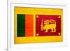 Sri Lanka Flag Design with Wood Patterning - Flags of the World Series-Philippe Hugonnard-Framed Art Print