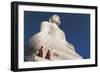 Sri Lanka, Sacred City of Kandy, Buddha Statue-null-Framed Giclee Print