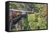 Sri Lanka, Train, Bridge-Harald Schšn-Framed Stretched Canvas