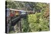 Sri Lanka, Train, Bridge-Harald Schšn-Stretched Canvas