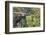 Sri Lanka, Train, Bridge-Harald Schšn-Framed Photographic Print