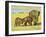 Sri Lankan Elephant (Elephas Maximus Maximus), Minneriya National Park, Sri Lanka, Asia-Jochen Schlenker-Framed Photographic Print