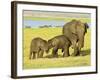 Sri Lankan Elephant (Elephas Maximus Maximus), Minneriya National Park, Sri Lanka, Asia-Jochen Schlenker-Framed Photographic Print