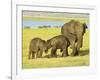 Sri Lankan Elephant (Elephas Maximus Maximus), Minneriya National Park, Sri Lanka, Asia-Jochen Schlenker-Framed Photographic Print