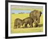 Sri Lankan Elephant (Elephas Maximus Maximus), Minneriya National Park, Sri Lanka, Asia-Jochen Schlenker-Framed Photographic Print