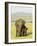 Sri Lankan Elephant (Elephas Maximus Maximus), Minneriya National Park, Sri Lanka, Asia-Jochen Schlenker-Framed Photographic Print