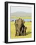 Sri Lankan Elephant (Elephas Maximus Maximus), Minneriya National Park, Sri Lanka, Asia-Jochen Schlenker-Framed Photographic Print