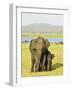 Sri Lankan Elephant (Elephas Maximus Maximus), Minneriya National Park, Sri Lanka, Asia-Jochen Schlenker-Framed Photographic Print