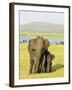 Sri Lankan Elephant (Elephas Maximus Maximus), Minneriya National Park, Sri Lanka, Asia-Jochen Schlenker-Framed Photographic Print