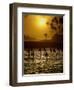 Sri Lankan Fishermen Sit Perched on Stilts Fixed into the Ocean Floor-null-Framed Photographic Print