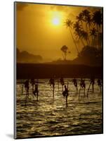 Sri Lankan Fishermen Sit Perched on Stilts Fixed into the Ocean Floor-null-Mounted Photographic Print