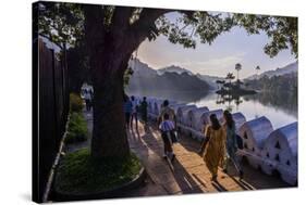 Sri Lankan People Walking at Kandy Lake at Sunrise, Kandy, Central Province, Sri Lanka, Asia-Matthew Williams-Ellis-Stretched Canvas
