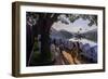 Sri Lankan People Walking at Kandy Lake at Sunrise, Kandy, Central Province, Sri Lanka, Asia-Matthew Williams-Ellis-Framed Photographic Print