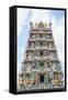 Sri Mariamman Temple in Chinatown-Fraser Hall-Framed Stretched Canvas