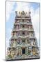 Sri Mariamman Temple in Chinatown-Fraser Hall-Mounted Photographic Print