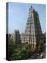 Sri Meenakshi Sundareshwara Temple, Madurai, Tamil Nadu, India, Asia-Stuart Black-Stretched Canvas