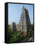 Sri Meenakshi Sundareshwara Temple, Madurai, Tamil Nadu, India, Asia-Stuart Black-Framed Stretched Canvas