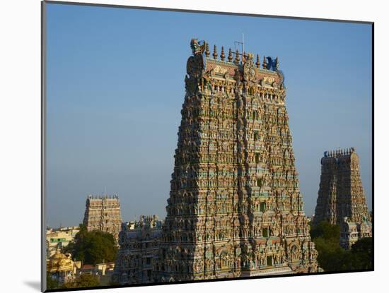 Sri Meenakshi Temple, Madurai, Tamil Nadu, India, Asia-Tuul-Mounted Photographic Print