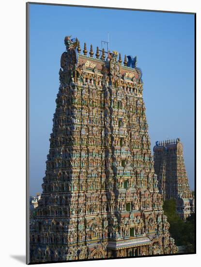 Sri Meenakshi Temple, Madurai, Tamil Nadu, India, Asia-Tuul-Mounted Photographic Print