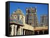 Sri Meenakshi Temple, Madurai, Tamil Nadu, India, Asia-Tuul-Framed Stretched Canvas