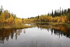 Lake in Autumn-srugina-Photographic Print